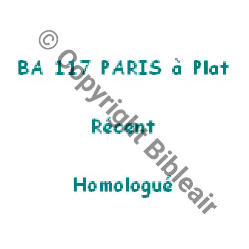 A1156Recent  BA 117  PARIS TYPE 3     1 